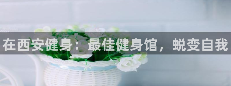 国际龙8下载
