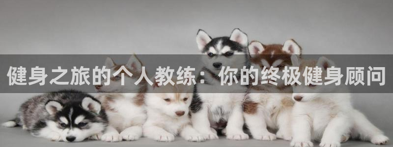 龙8国际网站是多少