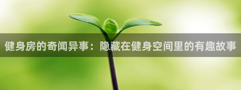 龙八国际娱乐官方网站