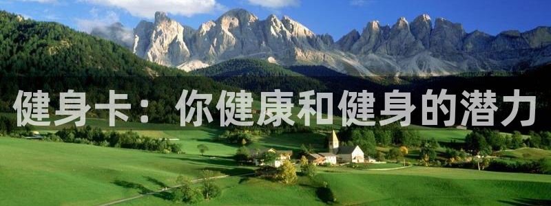 龙8国际版