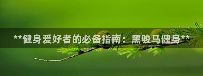 龙8头号玩家游戏官方进入