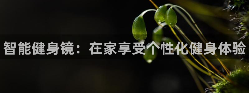 龙8国际登陆