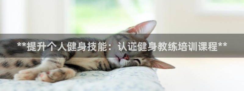国际龙8官网pt客户端