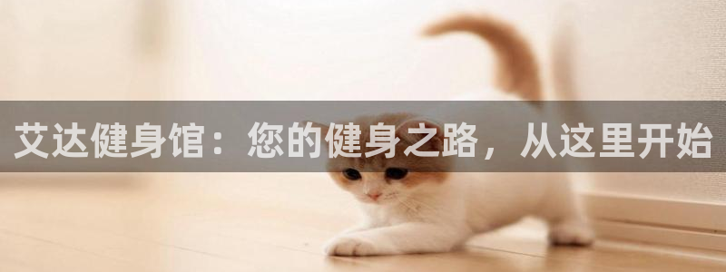 龙八国际下载官网平台