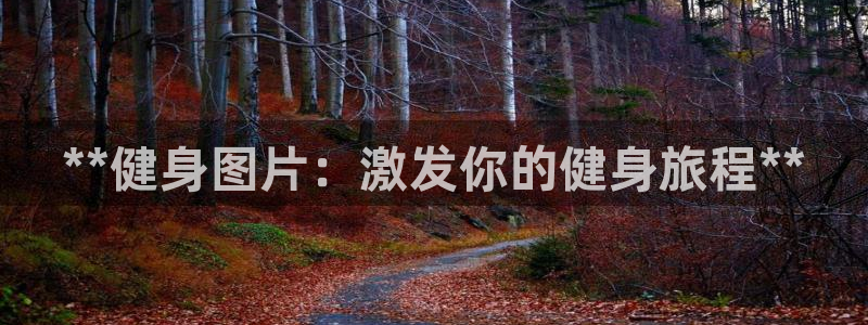 龙八国际网页登录