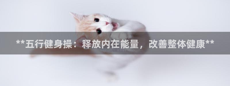 龙8国际为啥改名叫头号玩家了