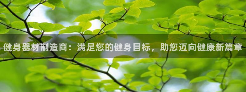 龙8国际3.0