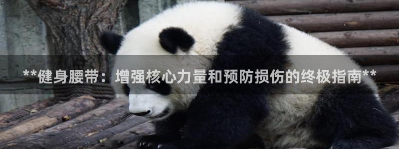 龙8国际官方网手机版下载安装