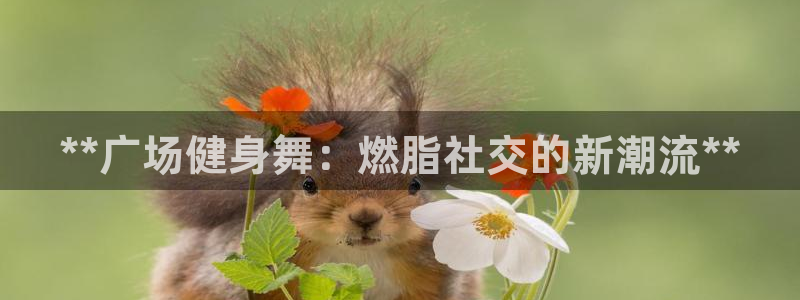 龙八国际城