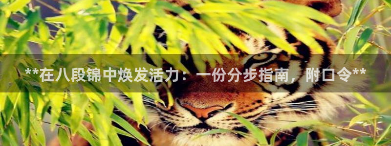 龙8国际2021年4.15更新版baoli
