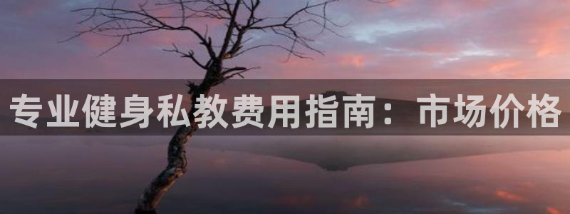 龙8国际服