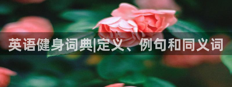 龙8国际pt官方网址