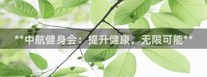 龙8国际手机游戏官网版