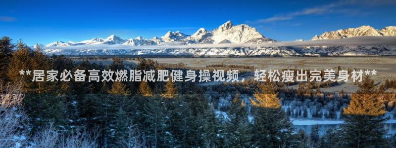 龙8国际平台