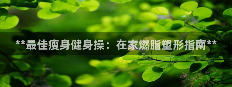 龙8官网手机版国际网页登录