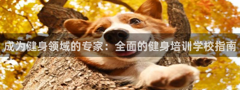 下载龙八国际