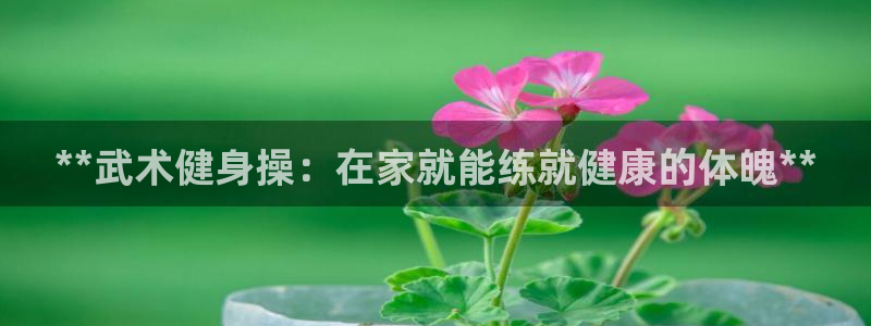 龙8国际手机版app
