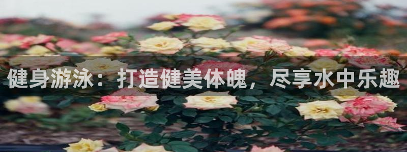 龙8国际老虎机电子