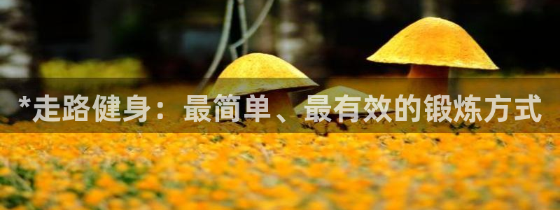 龙8老虎机网络游戏