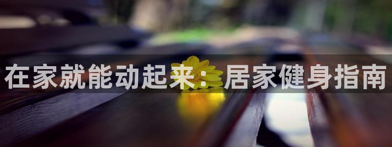 龙8国际网页登录