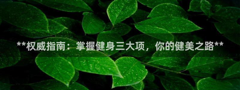 龙8国际2021官方网站pkufli1.291