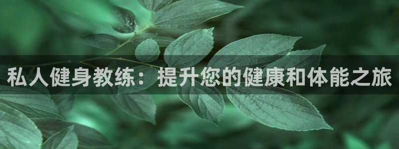 龙8国际的漏洞