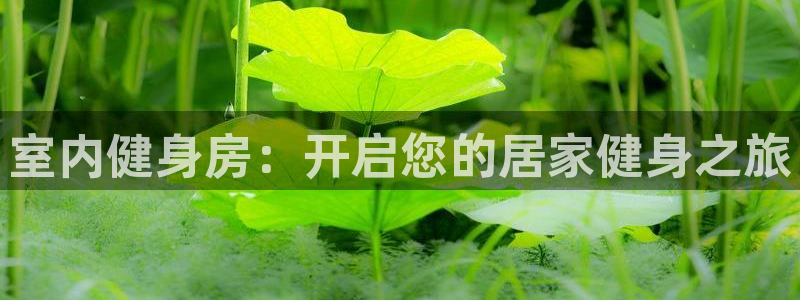 龙8国际唯一登录地址