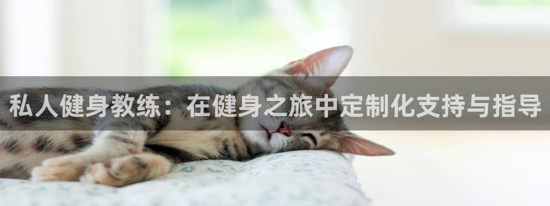 龙8国际龙8客户端