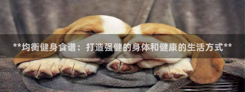 龙8国际老虎机娱乐