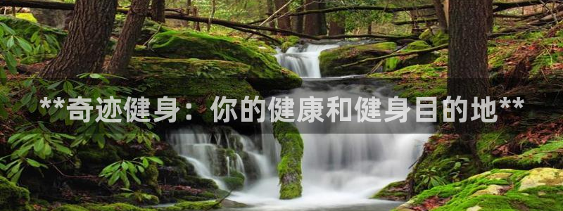 龙8国际手机版注册