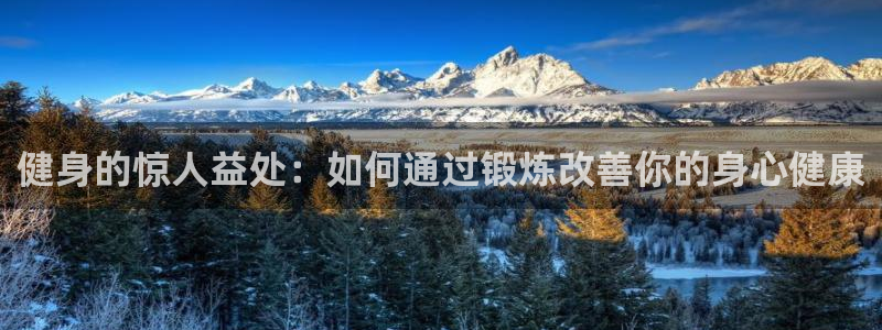 龙8国际平台登录