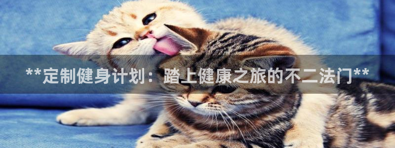 龙8国际老虎机娱乐