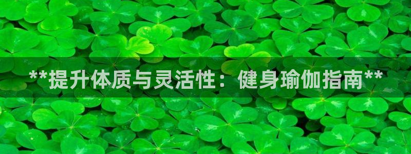 龙8国际是什么