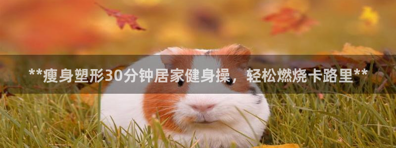 龙8国际官网 - 点此进入