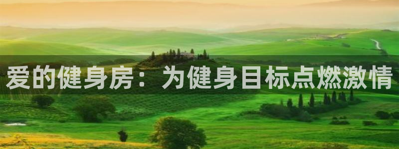 龙8国际平台提款被黑