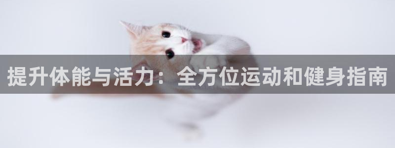 龙8国际老虎机官网