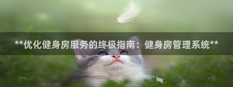 龙8国际唯一官网登录口