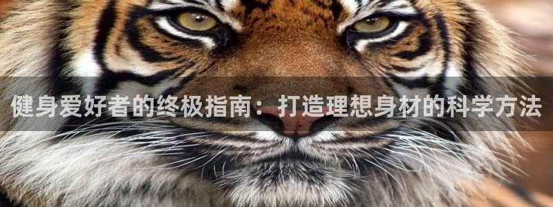 龙8国际app下载安装