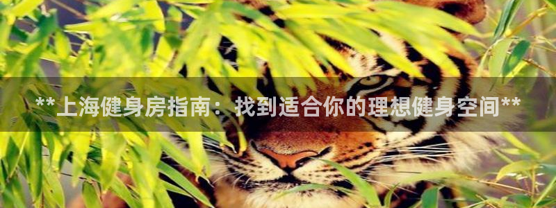 龙8国际手机官网下载