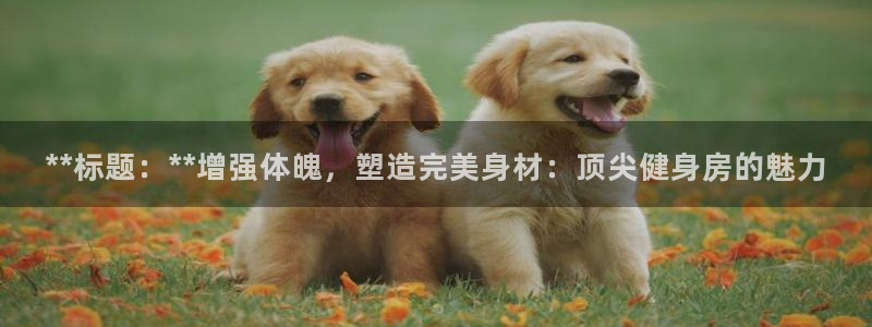 龙8国际手机游戏官网下载