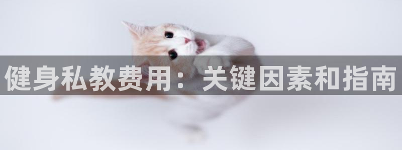 龙8国际手机版官网