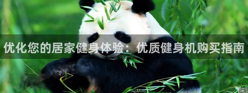 龙8国际long8官方版下载