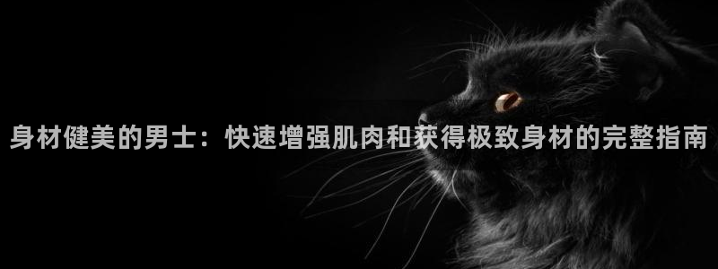 龙8国际登入