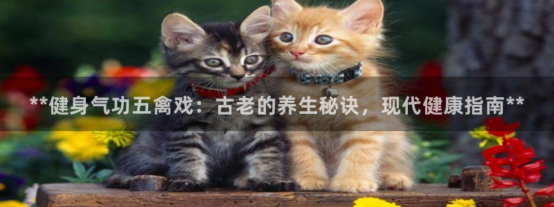 龙8电子游戏_首页