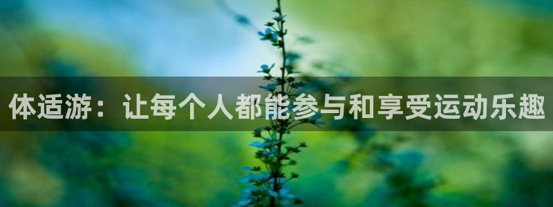 龙8国际登录口