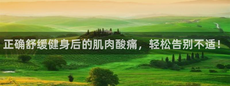 龙8国际备用
