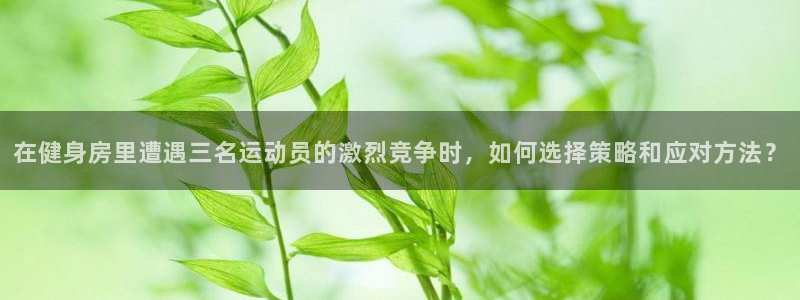 龙8国际-登录