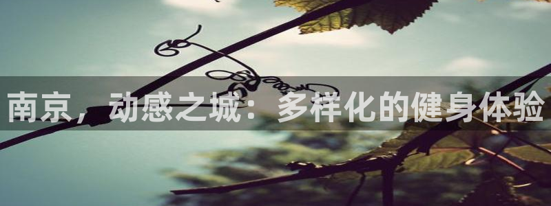 龙8国际登录地址