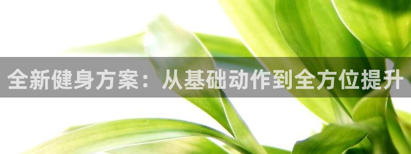 龙八国际登录入口