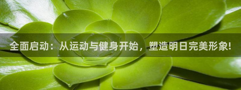 龙8国际欢迎您